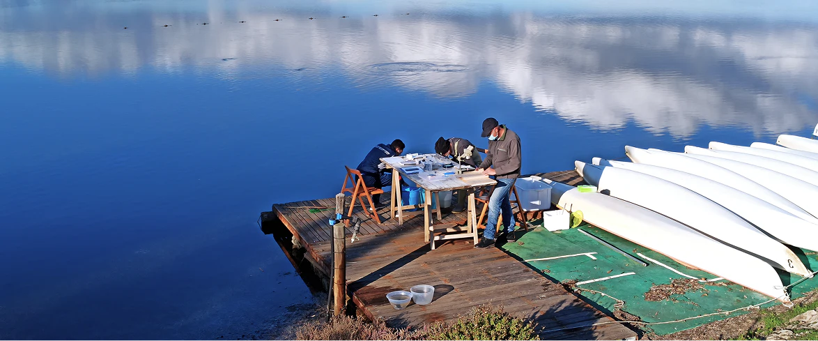 2_A Ricercatori ambientali analizzano campioni biologici su un pontile in legno affacciato sulla laguna, durante un’attività di monitoraggio scientifico in un’area naturalistica protetta.