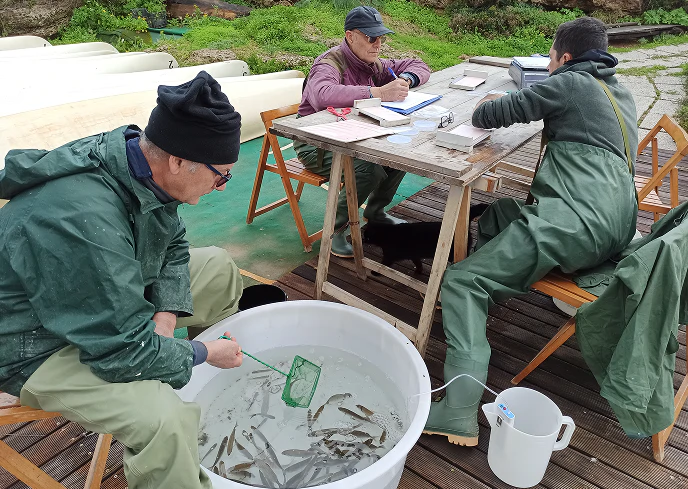 2_B Operatori ambientali monitorano pesci lagunari in una vasca di raccolta durante un’attività di ricerca scientifica all’aperto, registrando dati su schede e strumenti da campo.