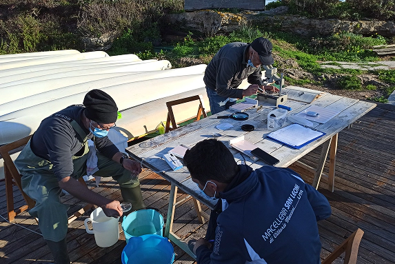 2_C Tre operatori ambientali eseguono analisi scientifiche all’aperto su un tavolo in legno, utilizzando microscopi e strumenti di campionamento per il monitoraggio della biodiversità marina in laguna.