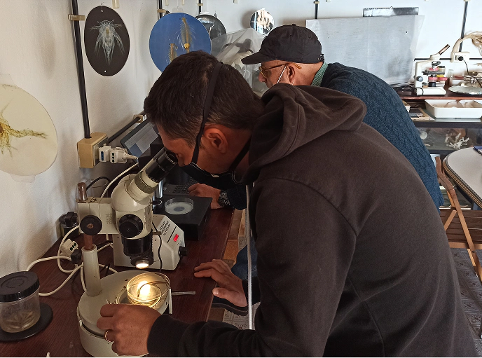 2_D Due ricercatori osservano campioni biologici al microscopio in un laboratorio di analisi marina, circondati da illustrazioni scientifiche e strumenti per lo studio della fauna acquatica.