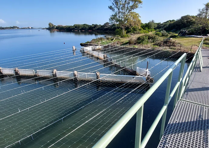 4_B Impianto di acquacoltura nella Laguna di Nora con vasche delimitate da reti sopraelevate, circondato da vegetazione costiera e acque calme.