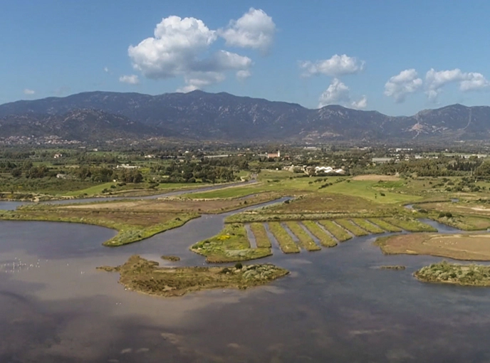 Veduta aerea di una zona umida costiera con vasche naturali e canali circondati da vegetazione palustre, sullo sfondo colline verdi e montagne sotto un cielo con nuvole sparse.