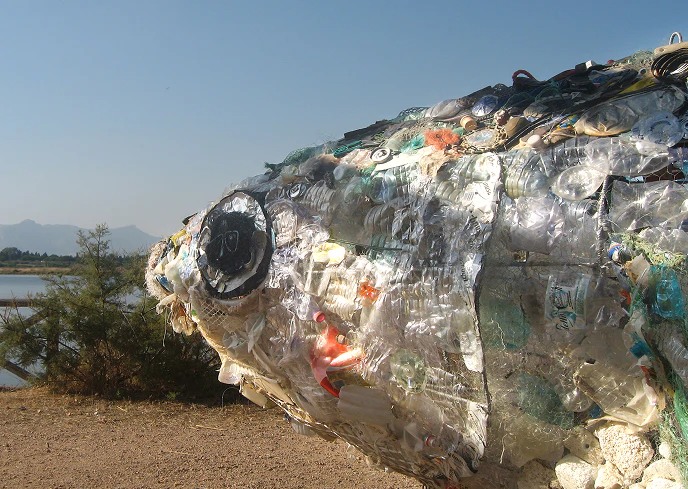 Dettaglio della testa di una scultura a forma di pesce realizzata con bottiglie, tappi e rifiuti di plastica riciclati, installata all’aperto vicino a una laguna, simbolo contro l’inquinamento marino.