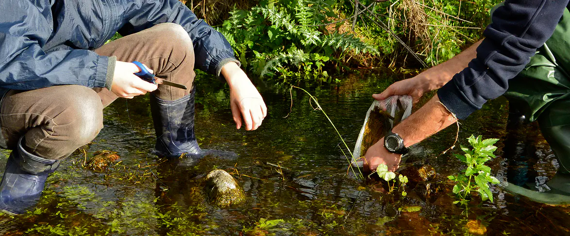 Due operatori ambientali monitorano un torrente raccogliendo campioni d’acqua con retino e misurando parametri con strumenti scientifici, immersi nella vegetazione fluviale.