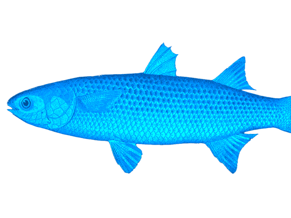 5_A_EcoAquarium