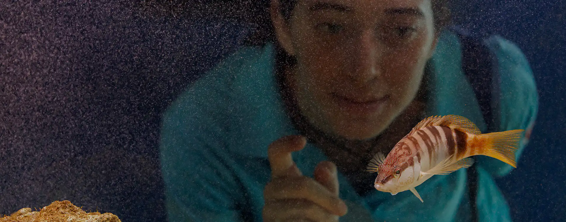 5_B_EcoAquarium
