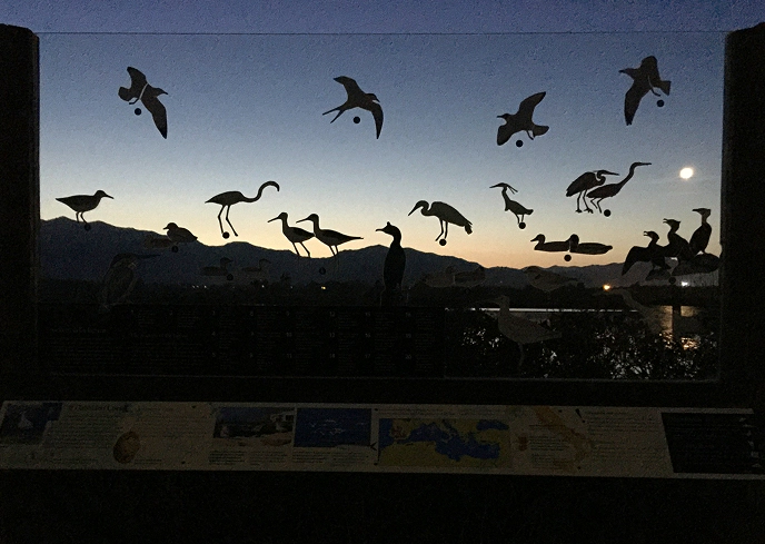 Pannello informativo trasparente con sagome di uccelli acquatici in volo e in sosta, posto davanti a una laguna al tramonto con cielo blu e arancio e riflessi sull’acqua.