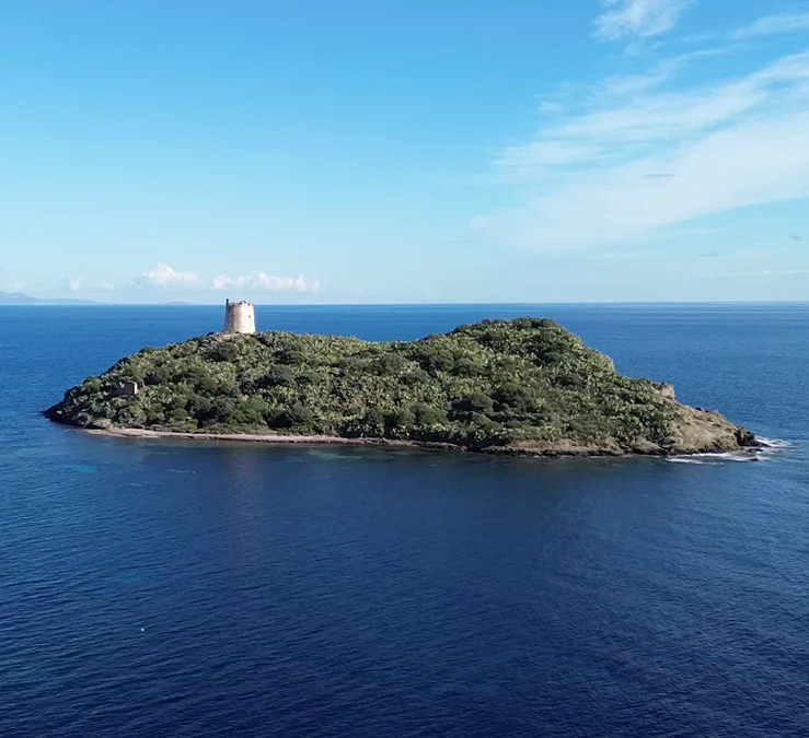 YOUNGFOR: percorso partecipativo per uno sviluppo del territorio