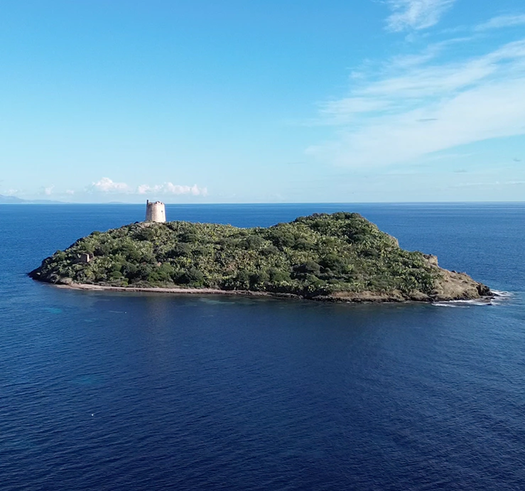 Veduta aerea dell’isola con torre costiera circondata da acque cristalline e vegetazione mediterranea.