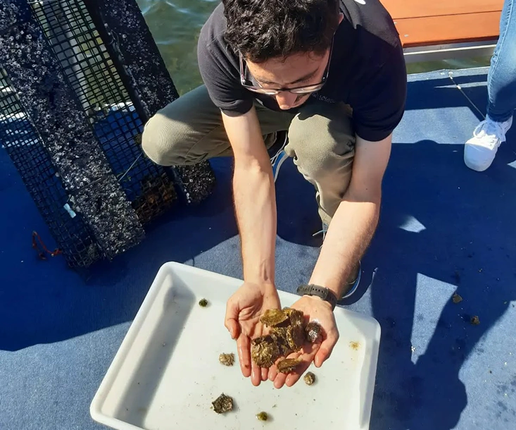 Ricercatore analizza organismi marini raccolti nella laguna di Nora, mostrando specie bentoniche tipiche dell’ecosistema lagunare del parco lagunare Nora durante una visita guidata educativa.